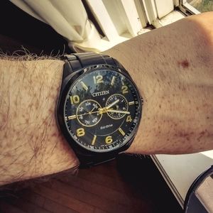 Black and Gold Citizen Eco-Drive Watch NEW CRYSTAL